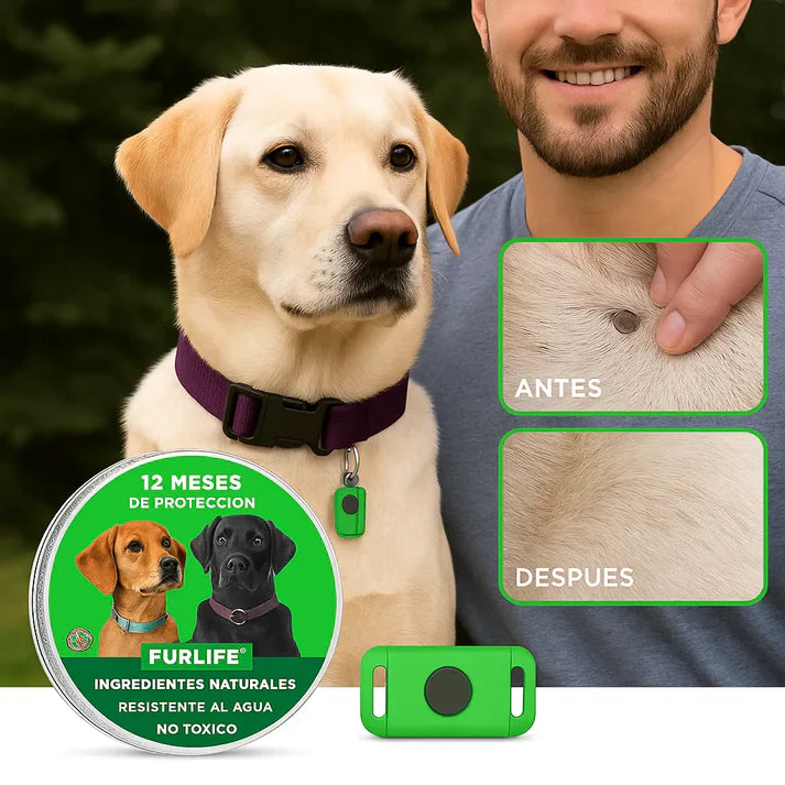 Eliminador de garrapatas BLACKDAYS