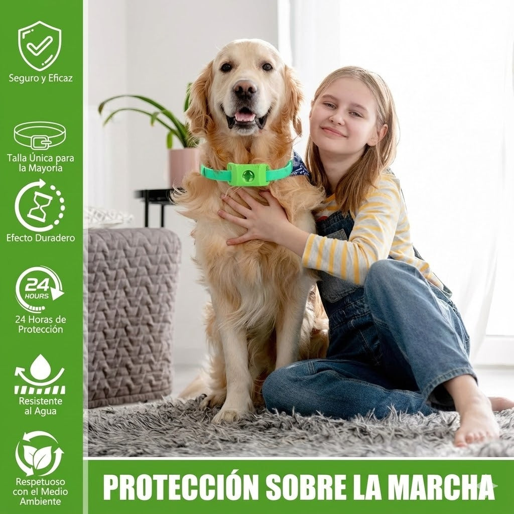 Eliminador de garrapatas BLACKDAYS