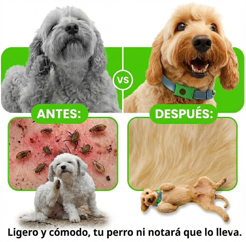 Eliminador de garrapatas BLACKDAYS